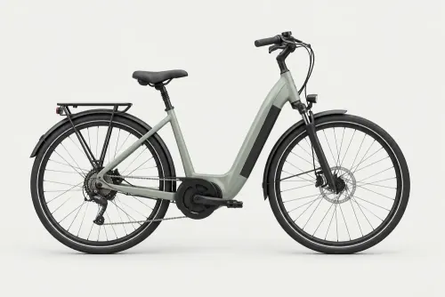Electric leisure bicycle