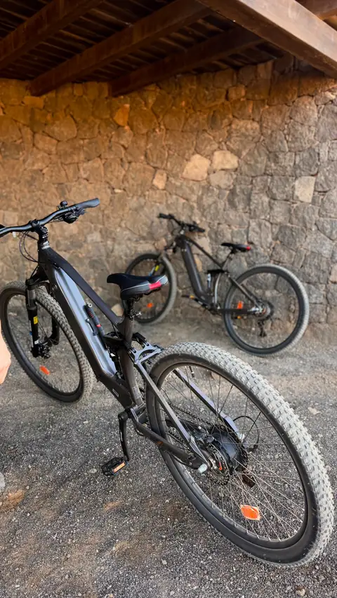 Dos bicicletas durante una parada