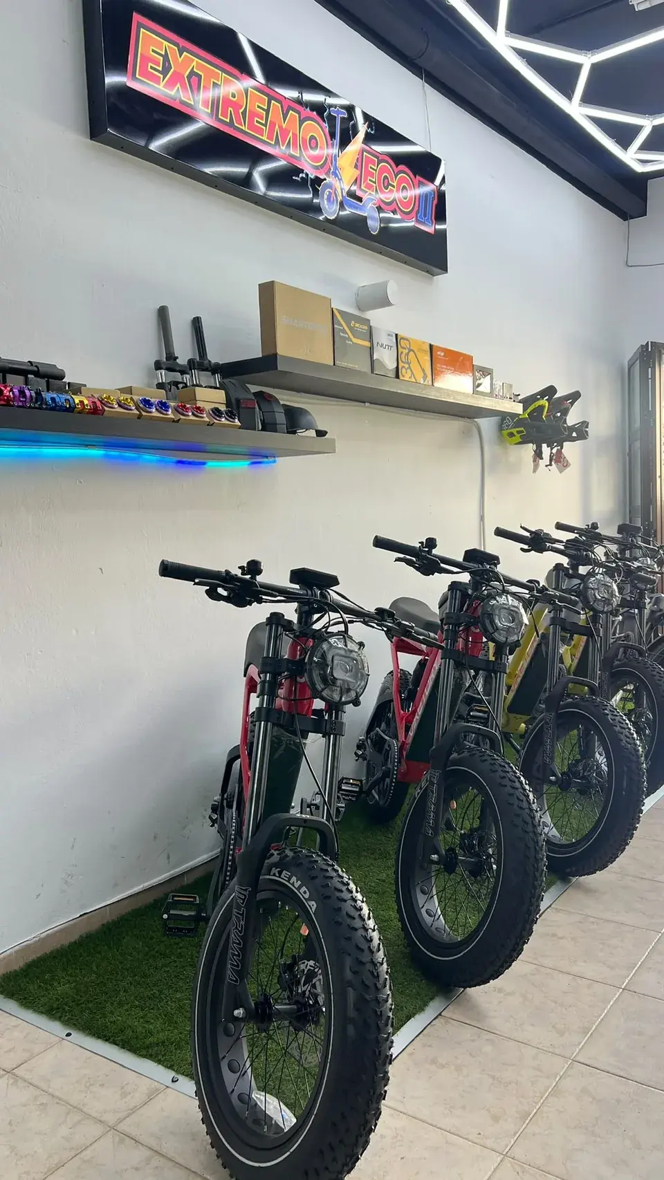 Interno di Extremo Eco: esposizione di biciclette in negozio