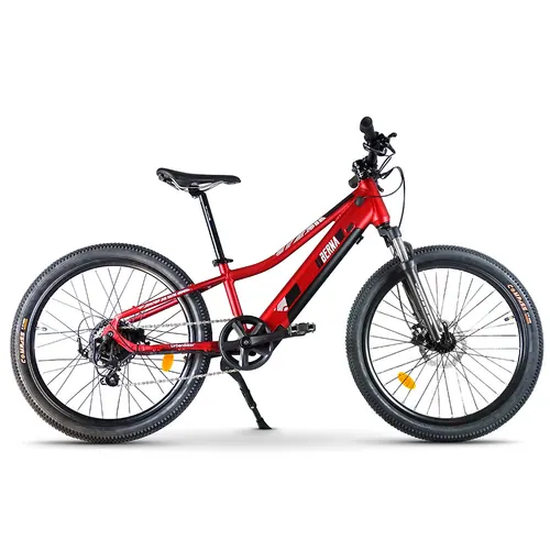 Urbanbiker Berna